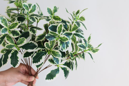Faux Schefflera Bush