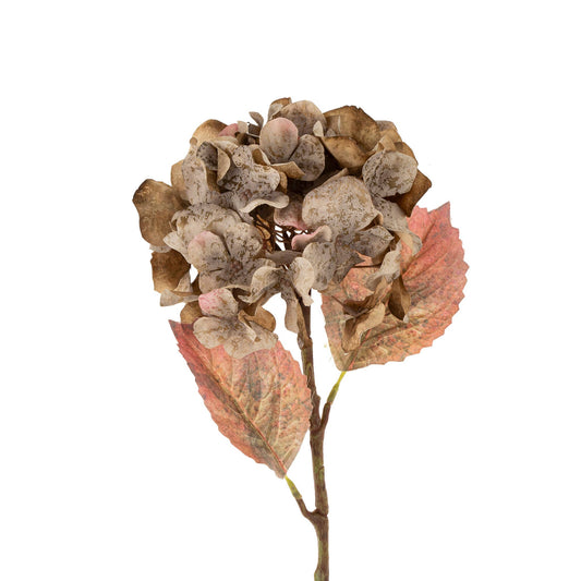Faded Hydrangea Stem S | Grey